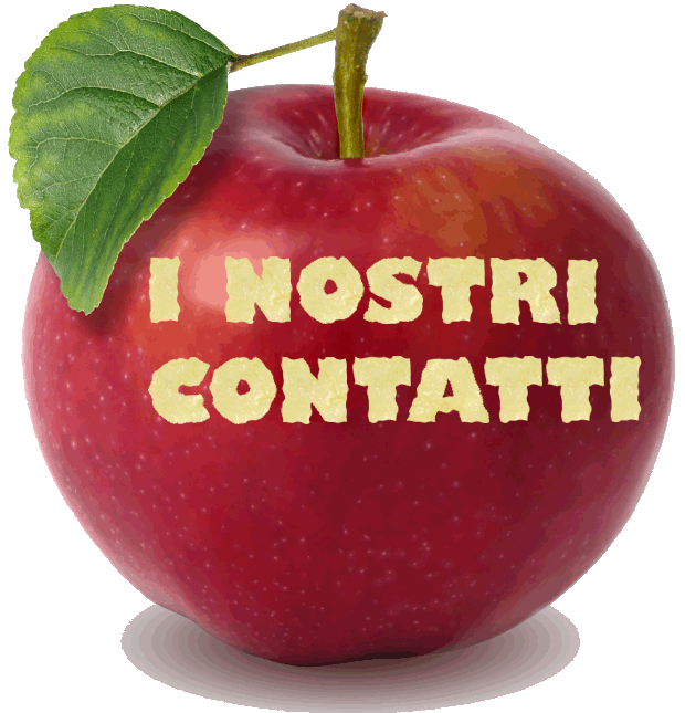 Contatti