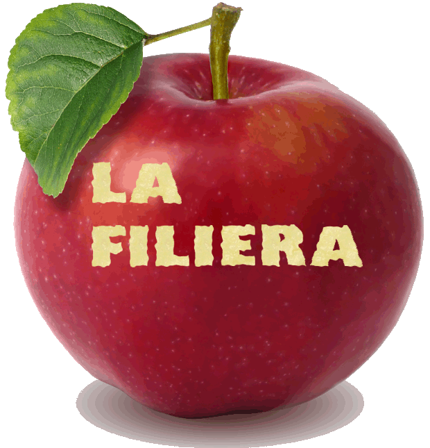 La Filiera Produttiva